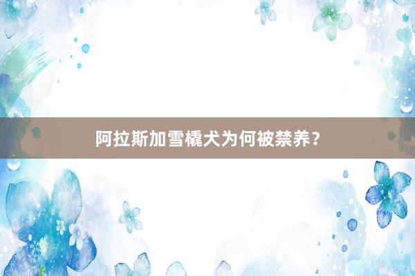 阿拉斯加雪橇犬为何被禁养？